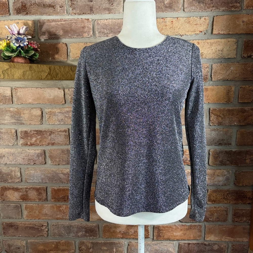EXPRESS Silver Glitter Long Sleeve Women's Top